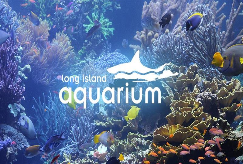 riverhead aquarium