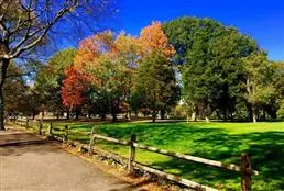 Singles Walk- Bayside