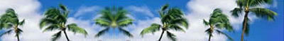 singles travel